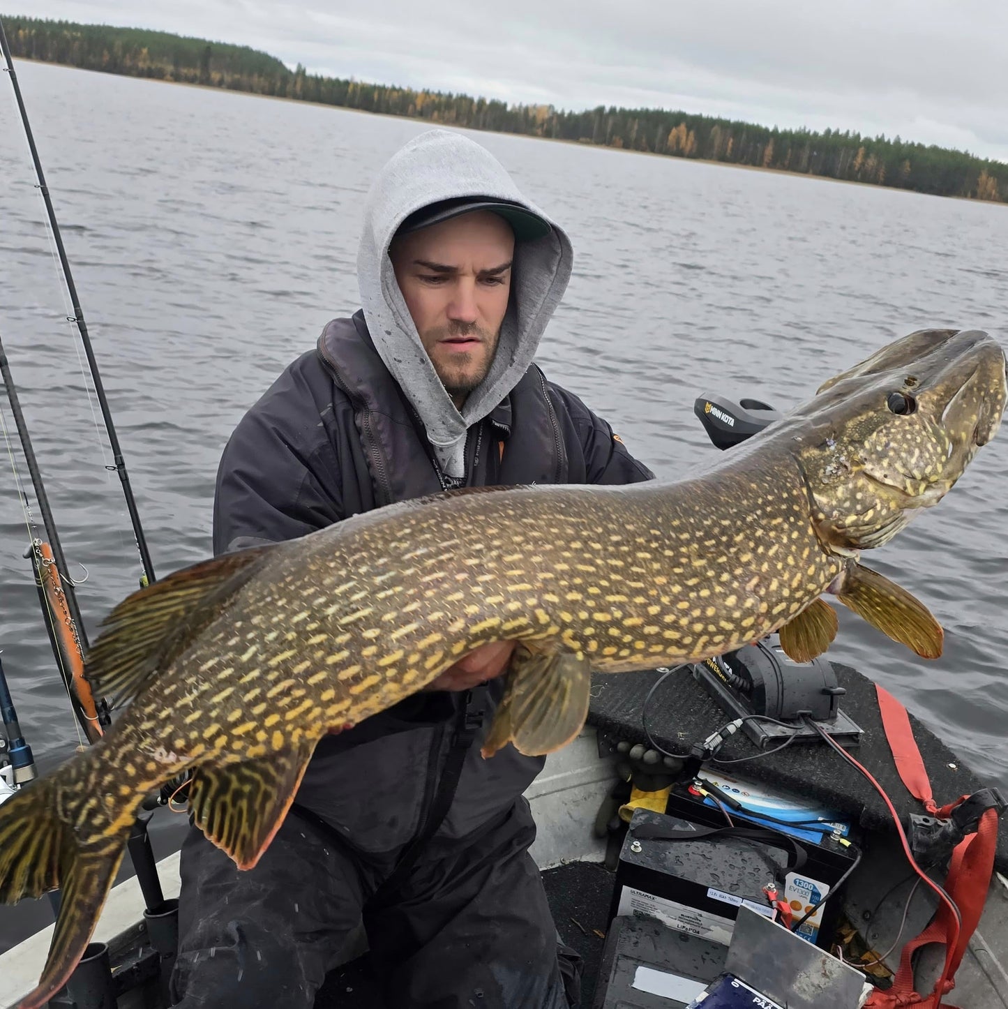 Delta Shad Curly 47cm/95g