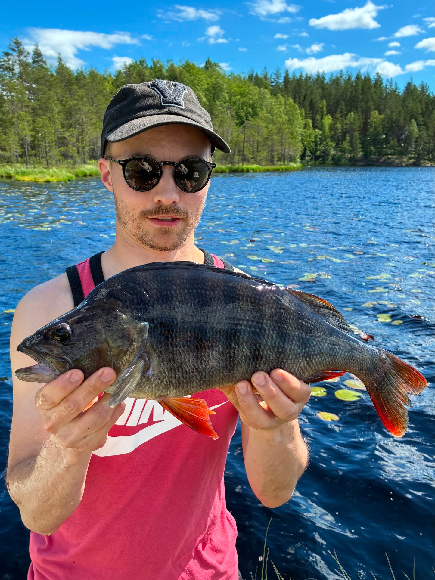 Polarbite 55 (4kpl)