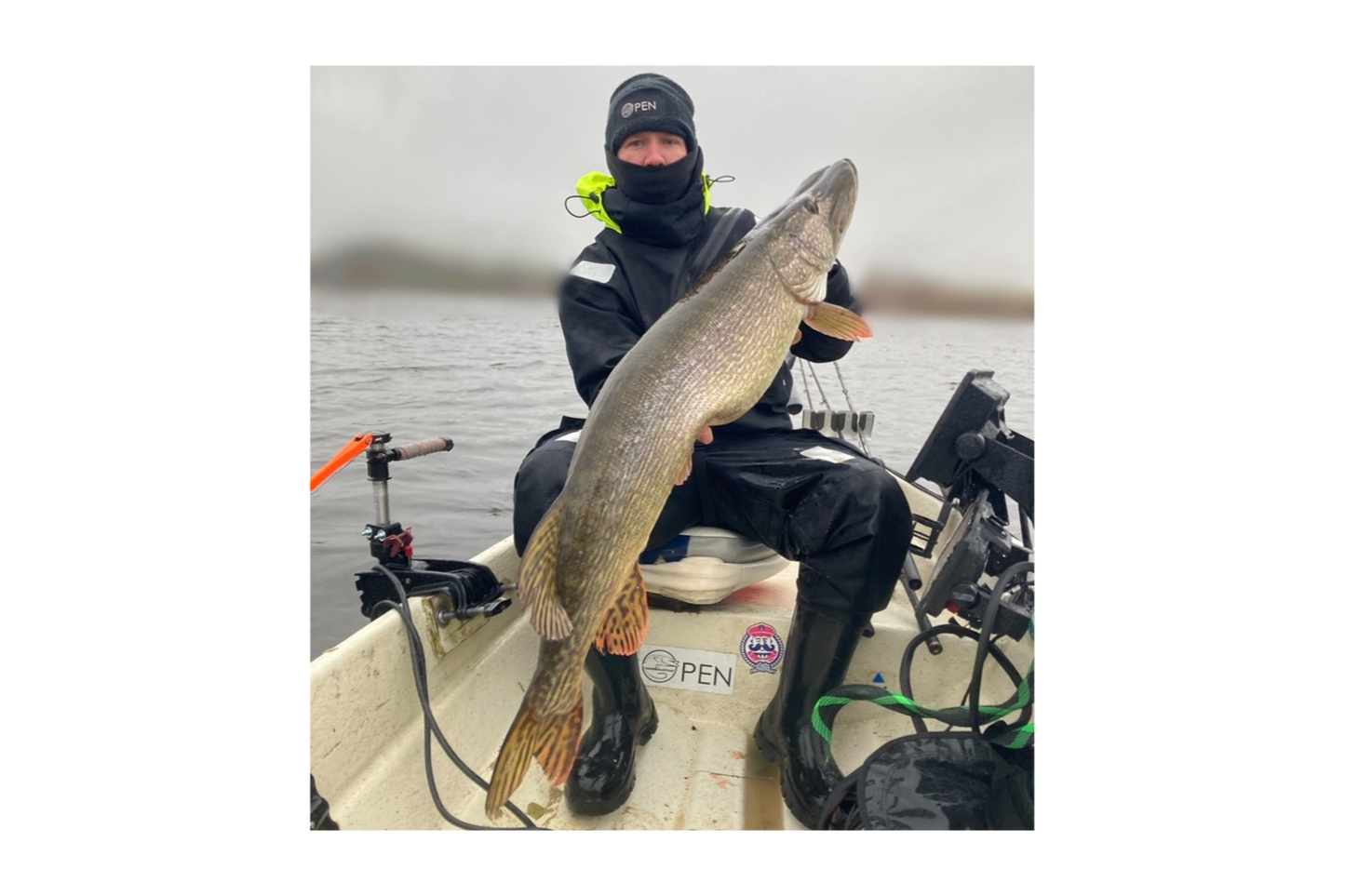 Delta Shad 25cm/70g