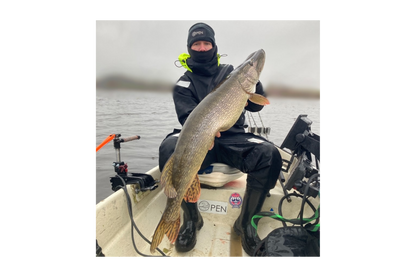 Delta Shad 25cm/70g