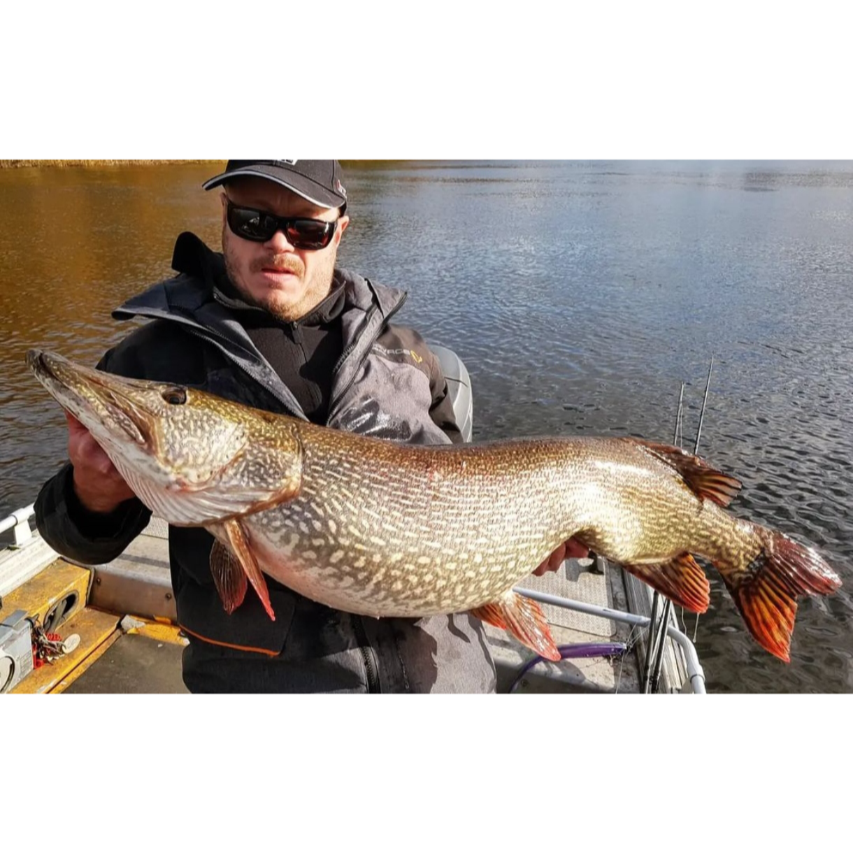 Alfa Shad 40cm/200g