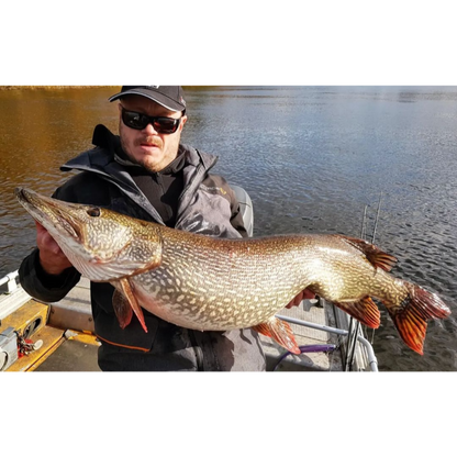 Alfa Shad 40cm/200g
