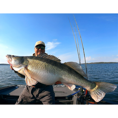 Delta Shad 25cm/70g