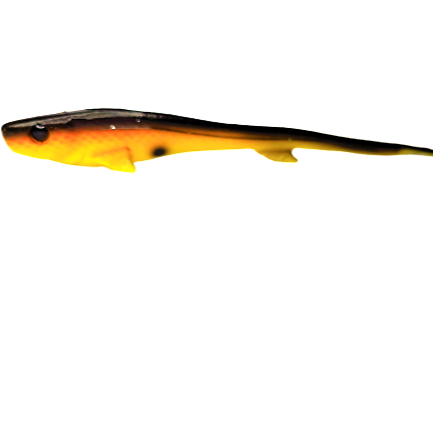 Vertical24 24cm/45g