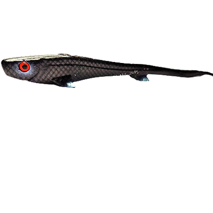Vertical24 24cm/45g