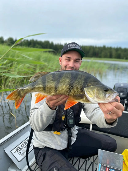Polarbite 75 (4kpl)